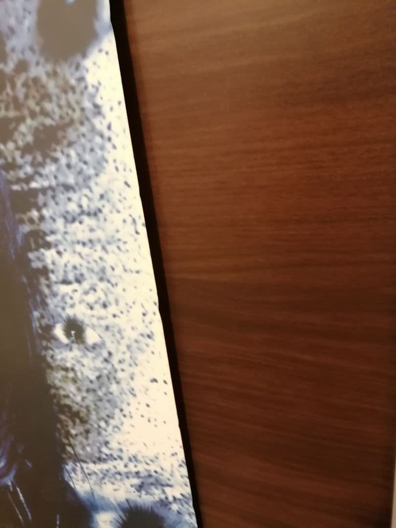 hide ポスター