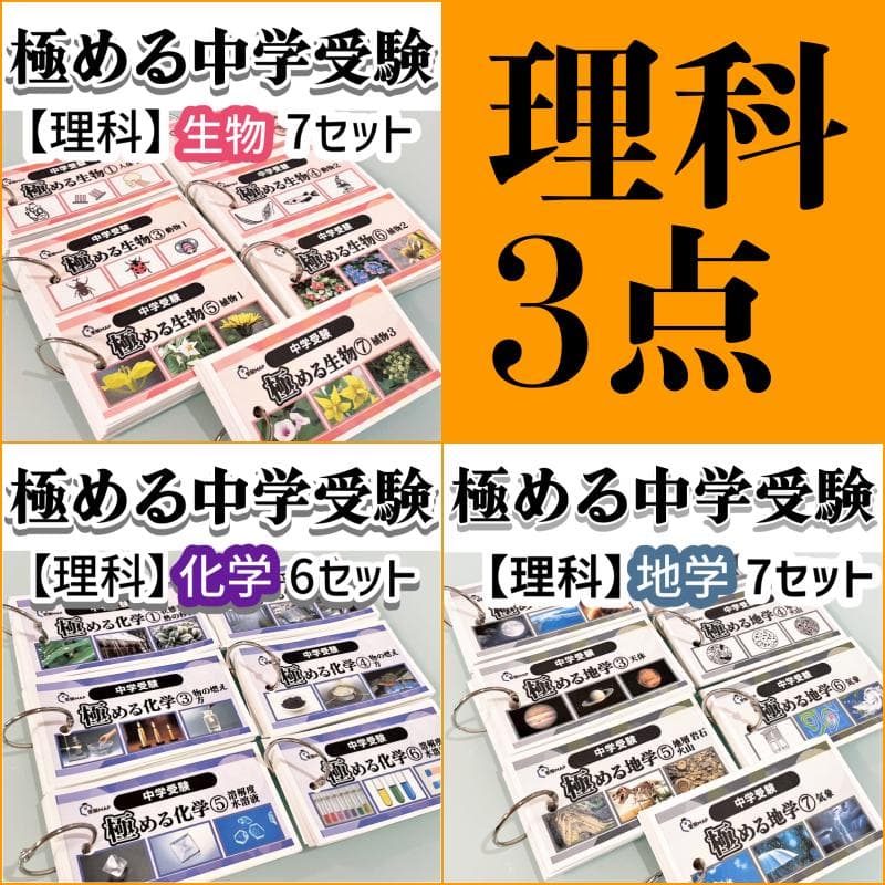 ラルボー様 リクエスト 6点 まとめ商品　中学受験　暗記カード