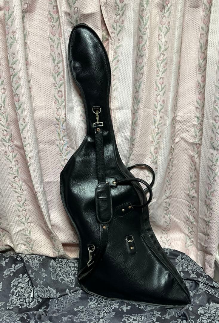 killer エレキギター　ケース