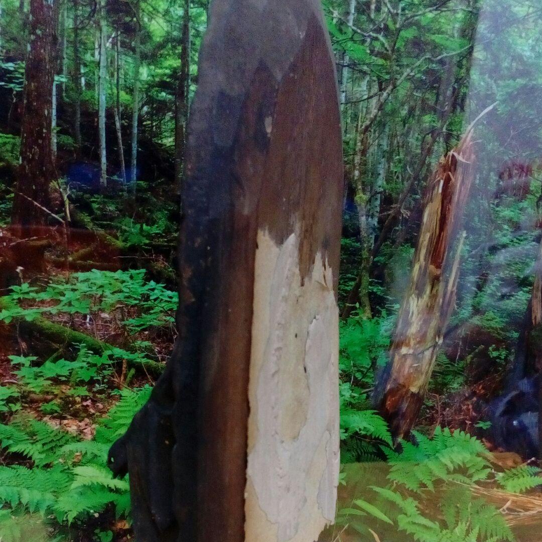 江戸時代２５０～３５０年前頃ケース入備前備中國武家旧家蔵出阿弥陀如来木彫仏当時物