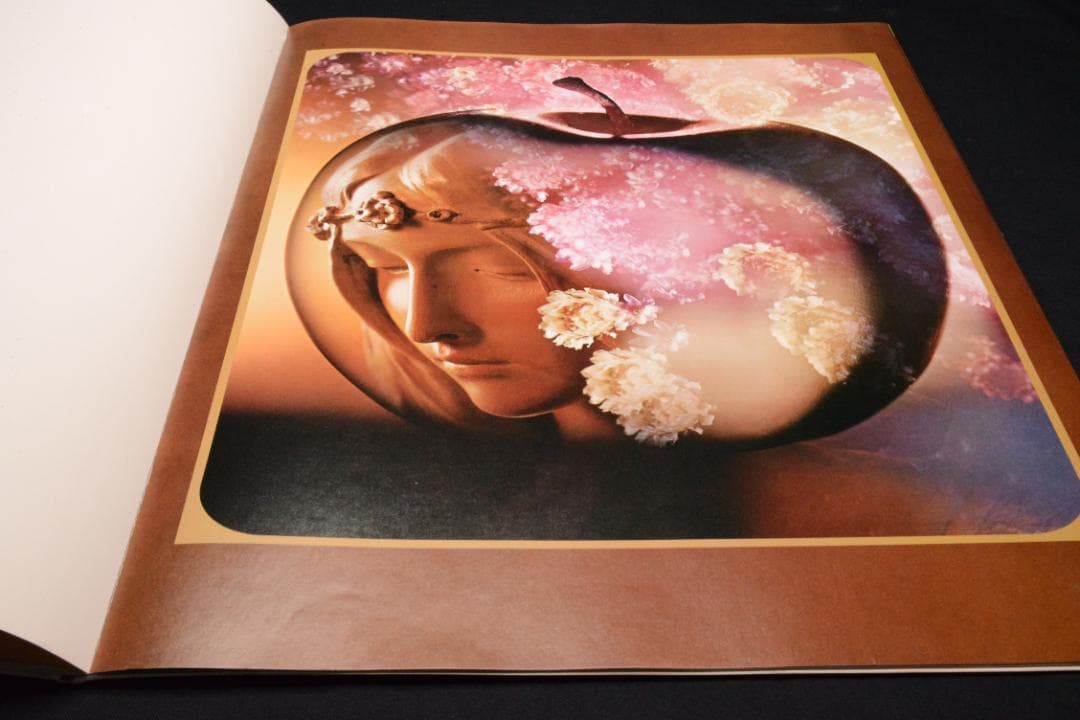 【HASKINS POSTERS】 Sam Haskins★大幅に値下げしました