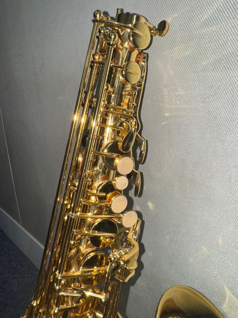 Buffet Crampon Prodige 選定品
