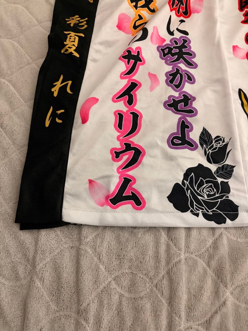 ももいろクローバーZ 法被