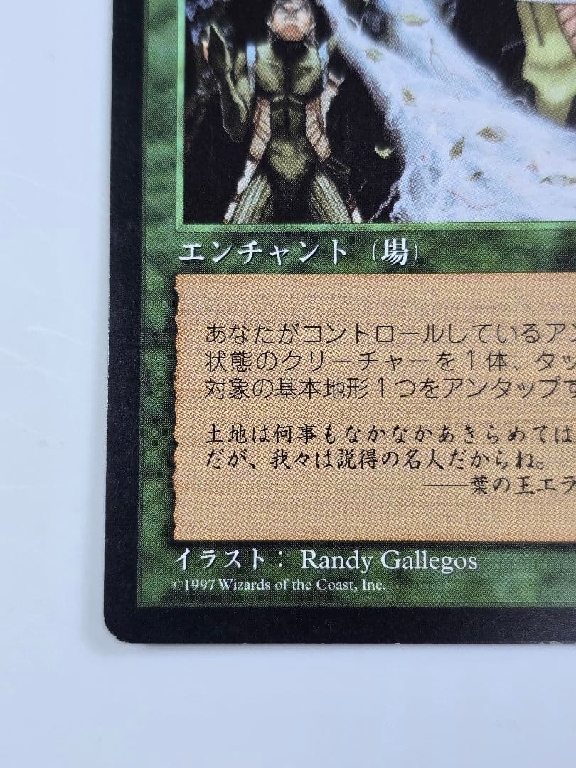 MTG 《大地の知識/Earthcraft》[TMP] 日本語