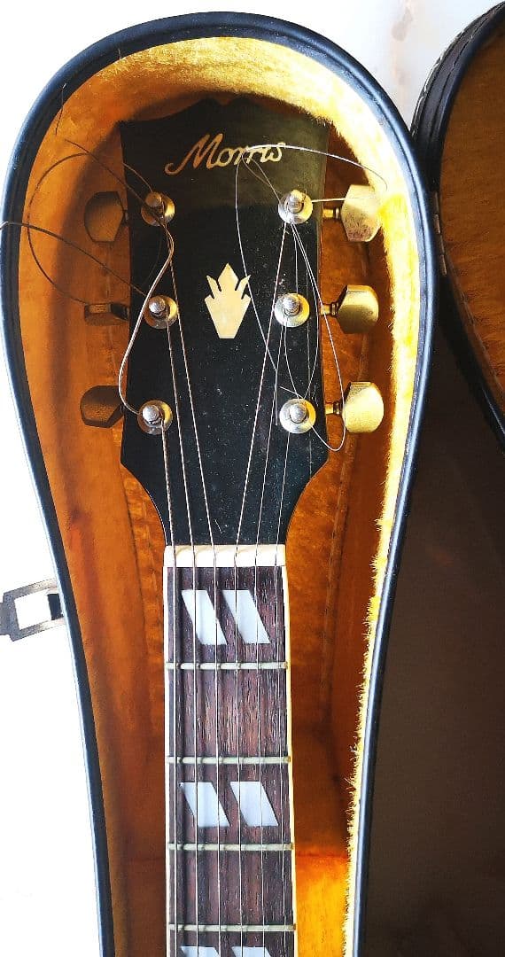 Morris モーリス WD-25N アコースティックギター ダヴモデル