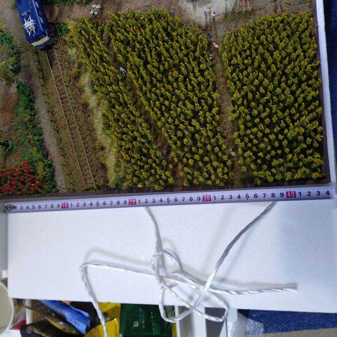 ジオラマ【60✕43cm程度】　Nゲージサイズ?　レール幅（9mm）