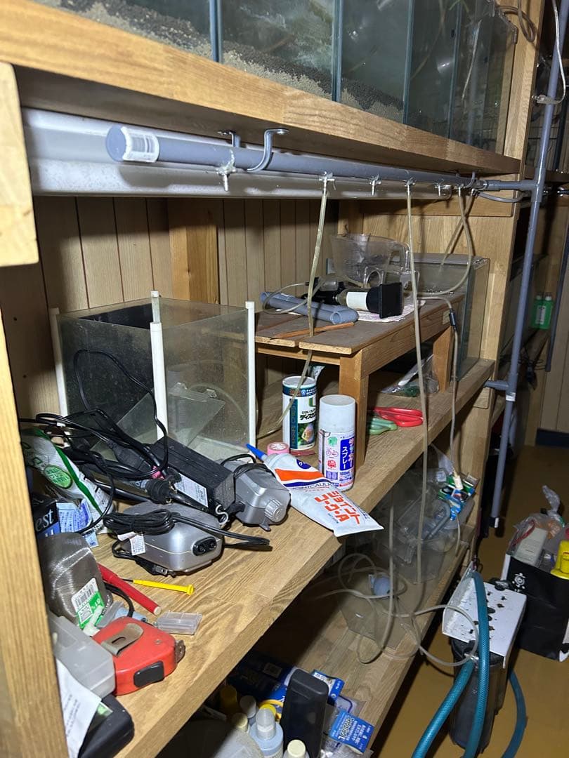 水槽用木製棚と小型水槽セット。シュリンプ育成用