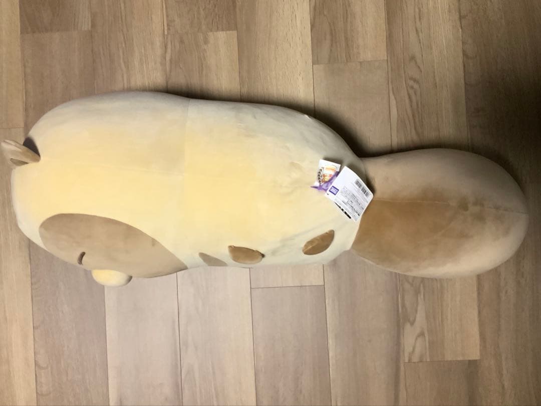 タヌキとキツネ　すやすやフレンド　タヌキ