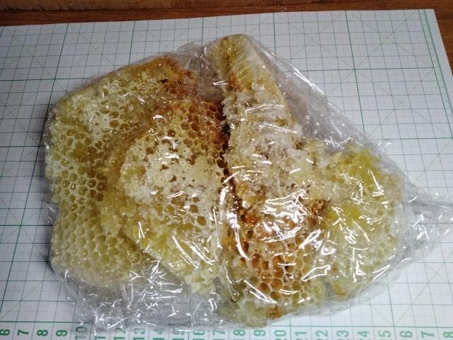昆虫標本　ニホンミツバチ　巣盤　1番　2590g