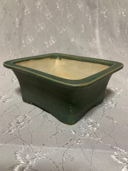 盆栽鉢　御蔵山