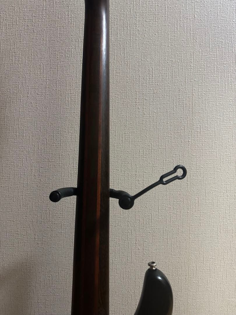 Ibanez アイバニーズ　EDB555 Ergodyne 5弦ベース