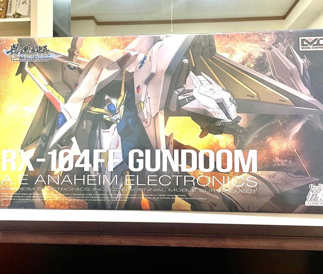 海外製　RX-104FF HG素組み プラモデル
