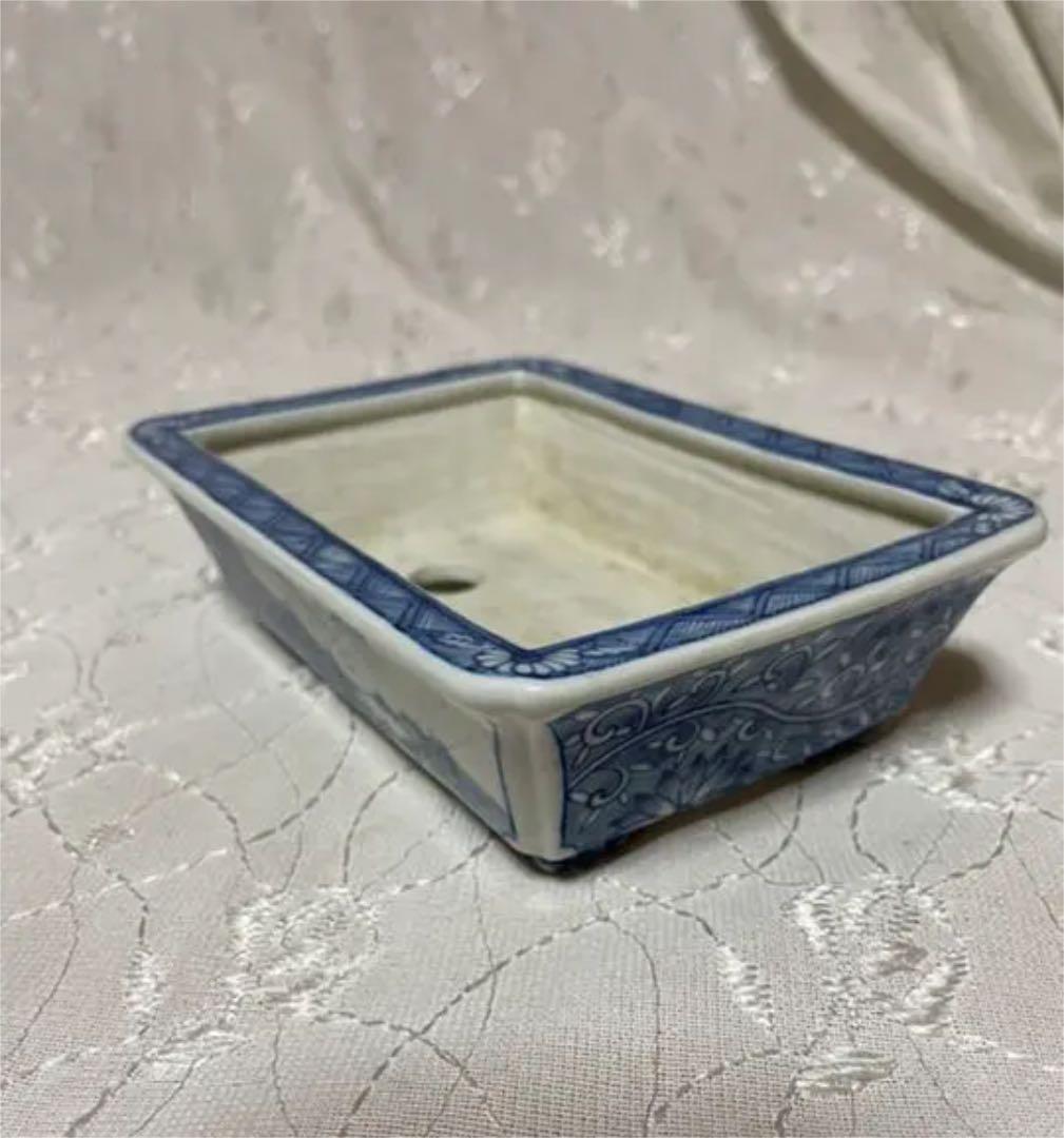 歌磨　盆栽鉢