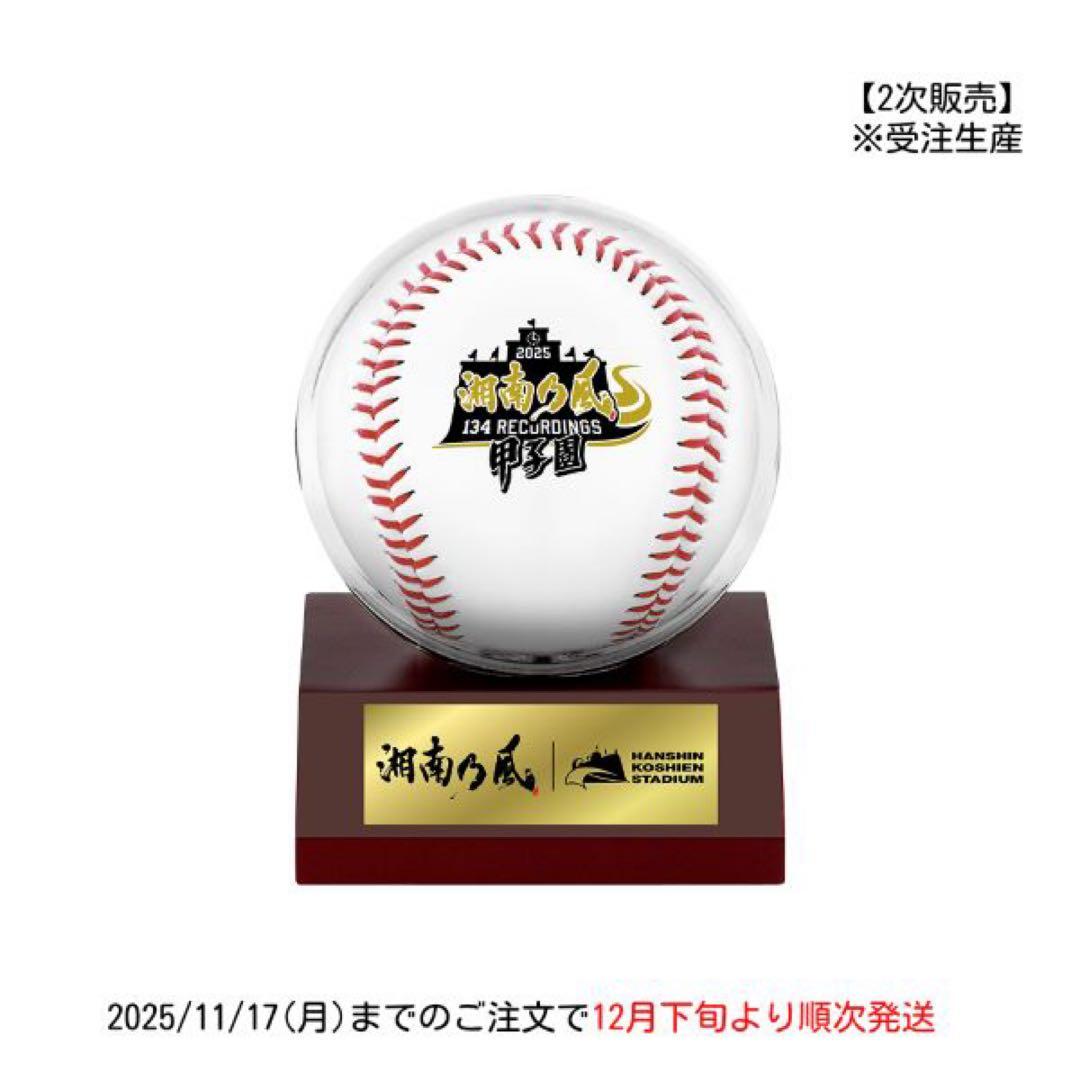 湘南乃風　熱唱甲子園　ユニフォームクッション　キーホルダー　Vメガホン　ボール