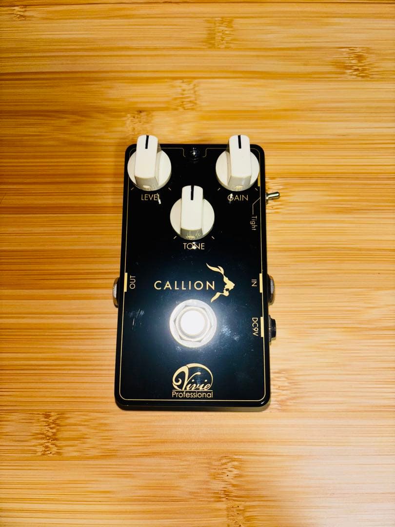 ギター Vivie / CALLION