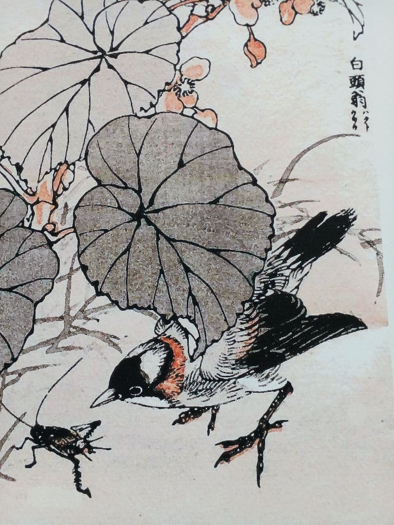 江戸屋版　媒嶺花鳥画譜第1編 27図 手作り古画修復　浮世絵風