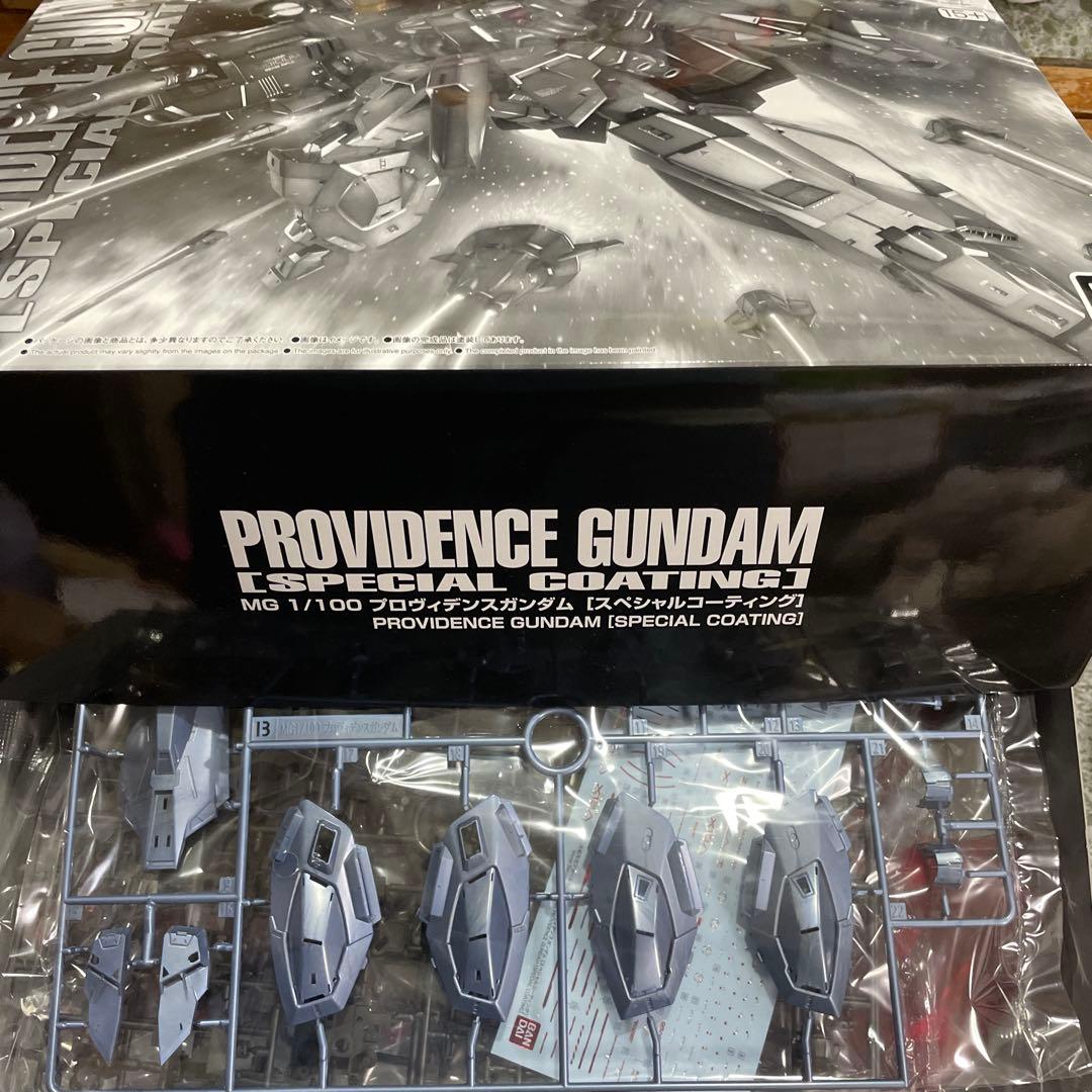 ＭＧ 1/100 プロヴィデンスガンダム 　スペシャルコーティング