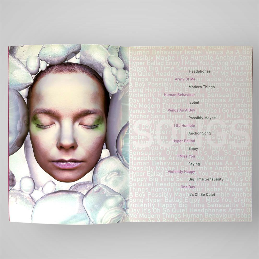 【極美品】ビョーク 1996年来日公演パンフレット Bjork ‘96日本ツアー