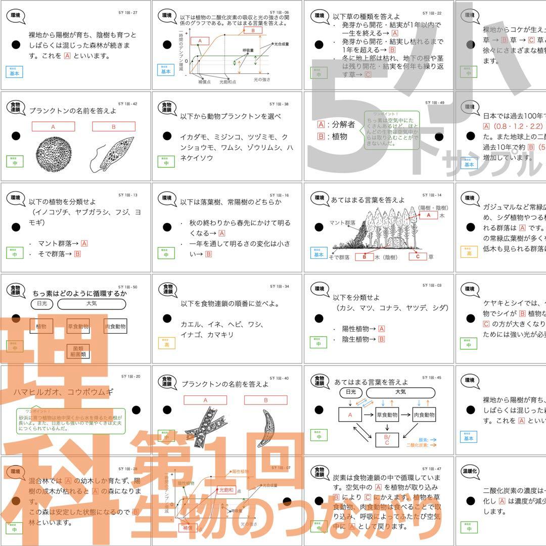 中学受験 暗記カード【5年下 理科全セット 1-18回】予シリ 組分けテスト