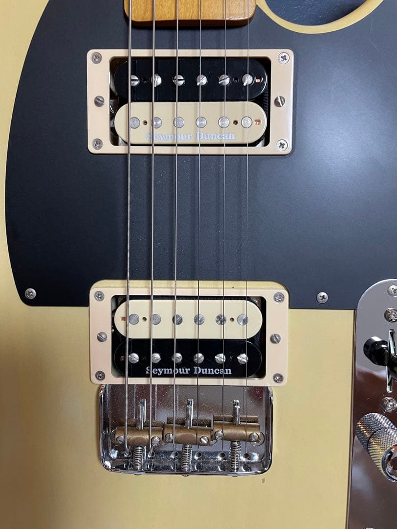 Edwards テレギブ　 E-TE-115M