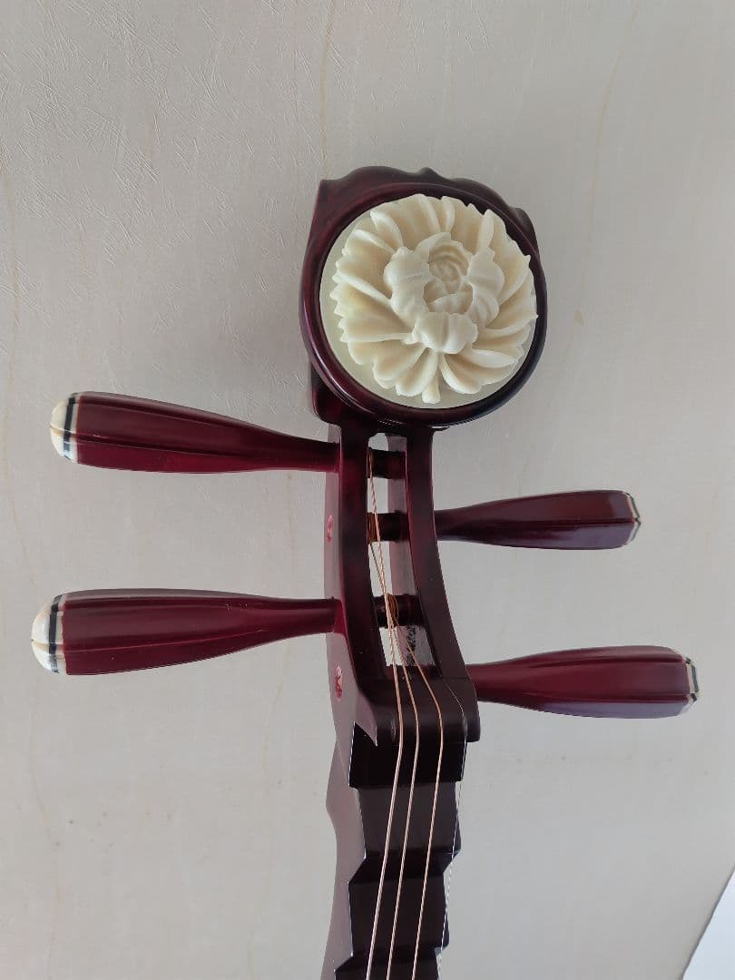 中国琵琶、ケース、弦、DVD