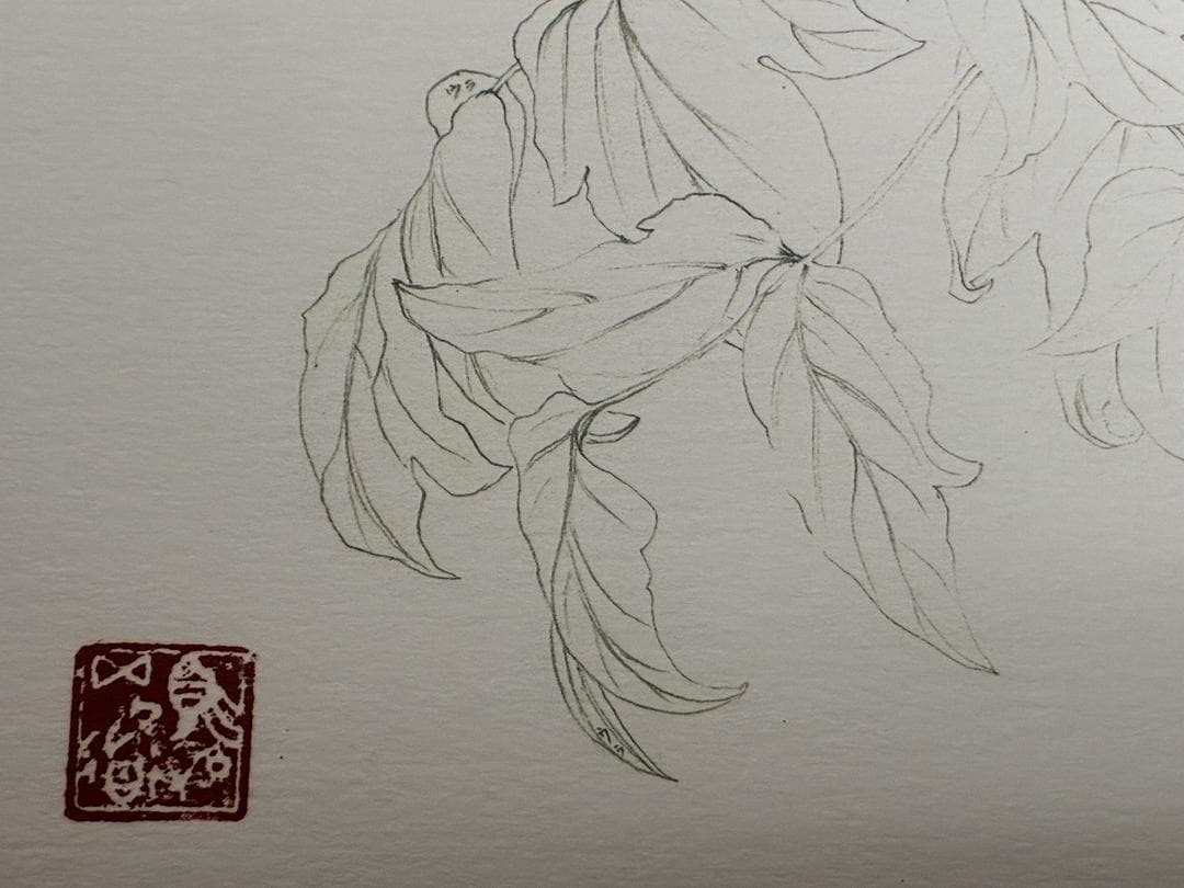 須加五々道 　『牡丹』　 額装