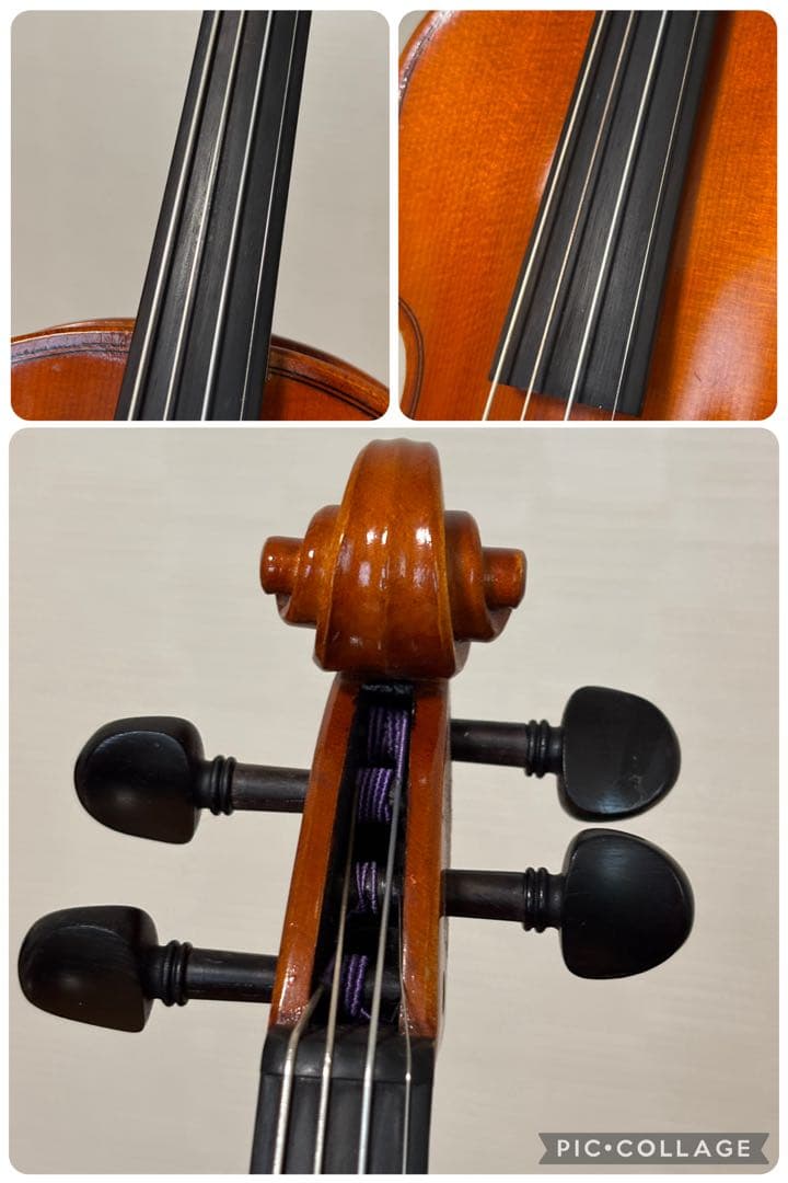 アンドレアイーストマン　バイオリン　VL80 　1/8 2019