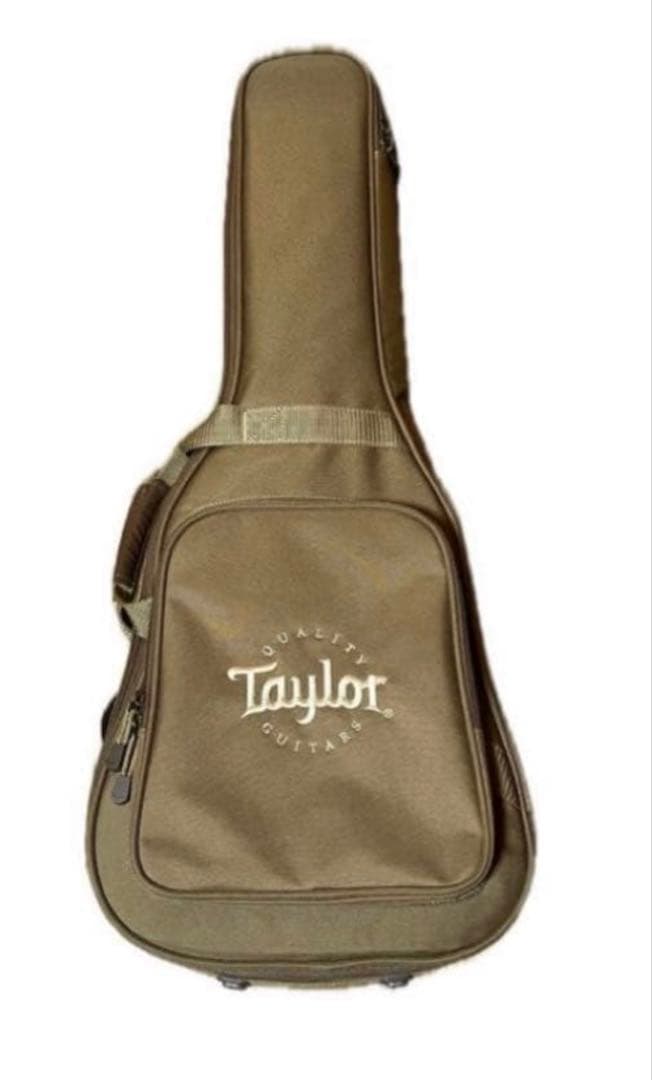 Baby Taylor BT1e_エレアコ