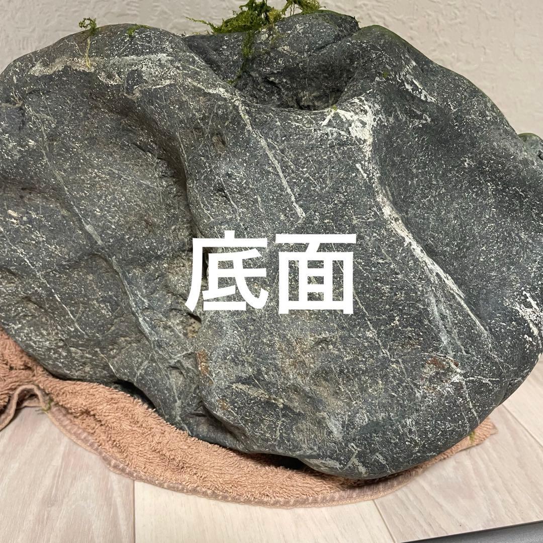 八海石 26kg