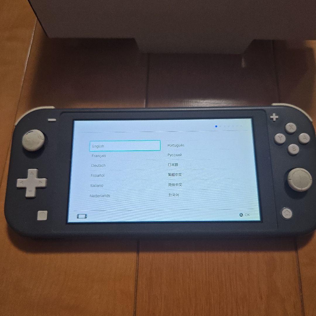 ジャンク Nintendo switch lite グレー