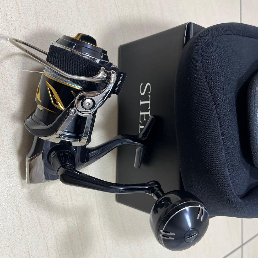 19ステラsw8000pg
