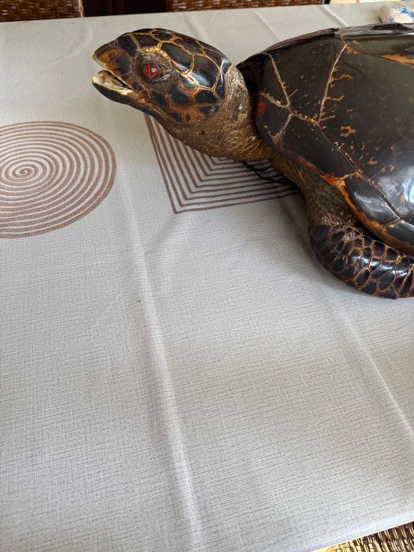 その他 Tartaruga