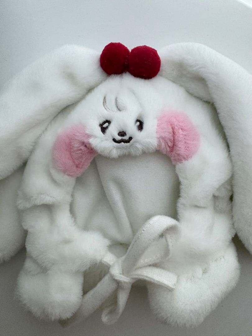 ive minive ミニブ ペンラカバー ウォニョン