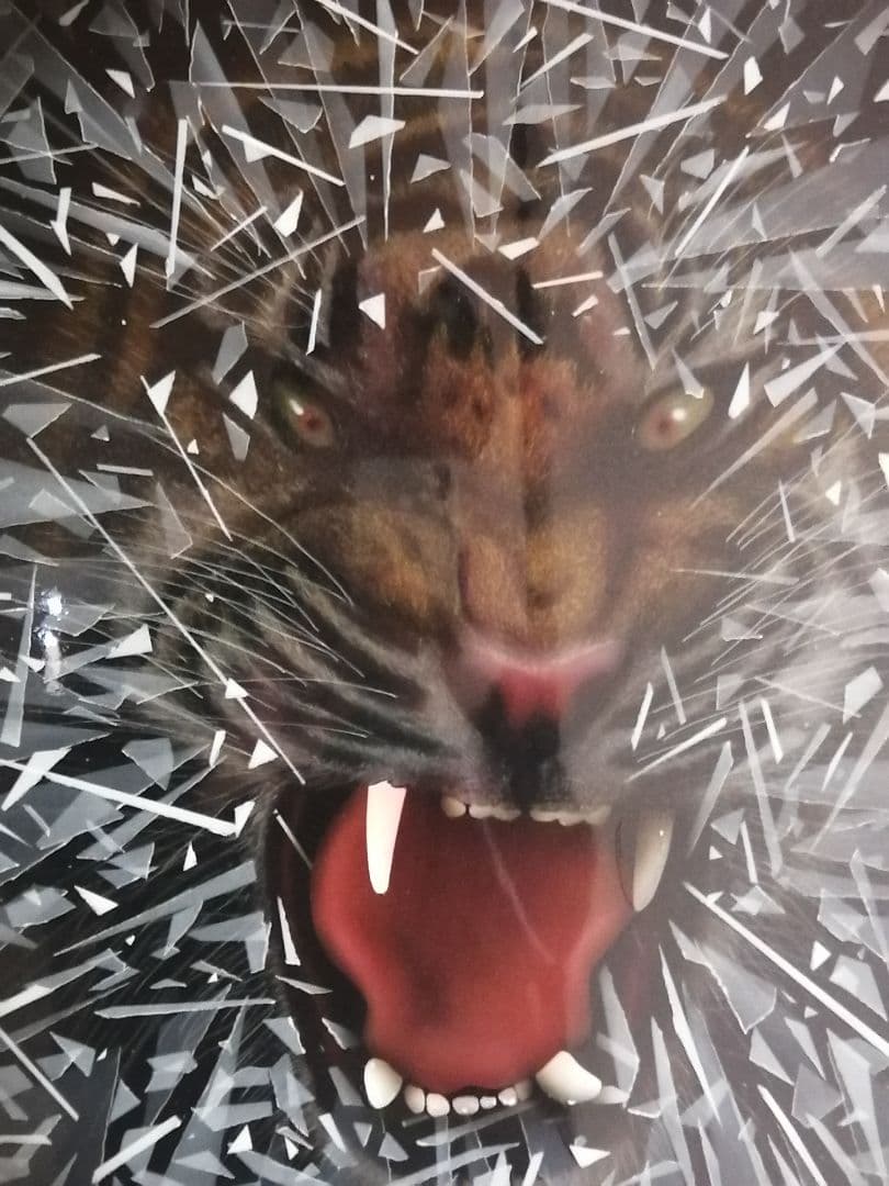 画家　西風　鷹　タイガースファン必見　猛虎の覇気