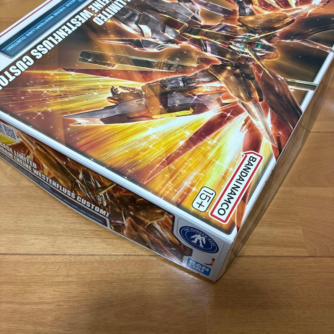 ガンダムベース限定　MG デスティニーガンダム（ハイネ専用機）
