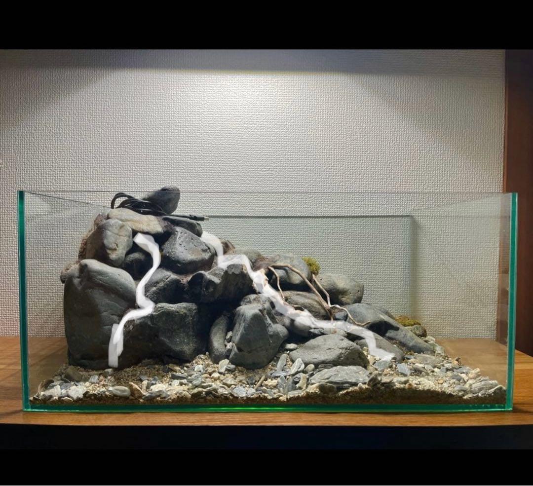 Terrarium 川
