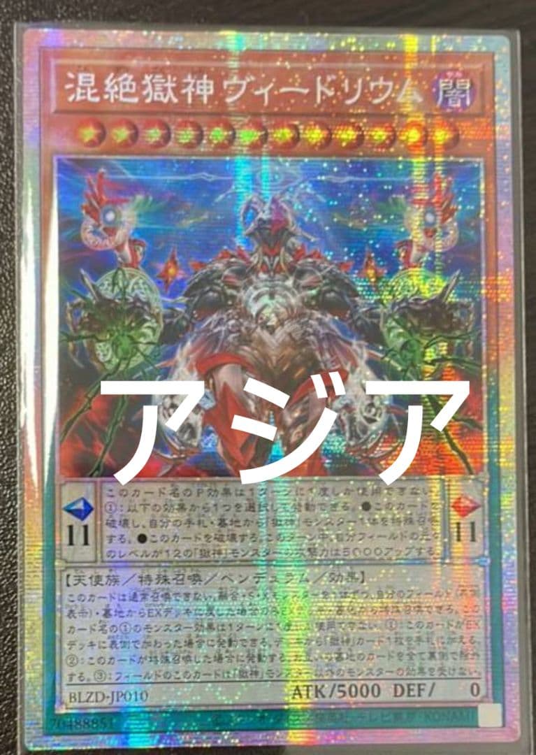 【しゃみせん】混絶獄神ヴィードリウム&神芸学徒 ファインメルトアジア版
