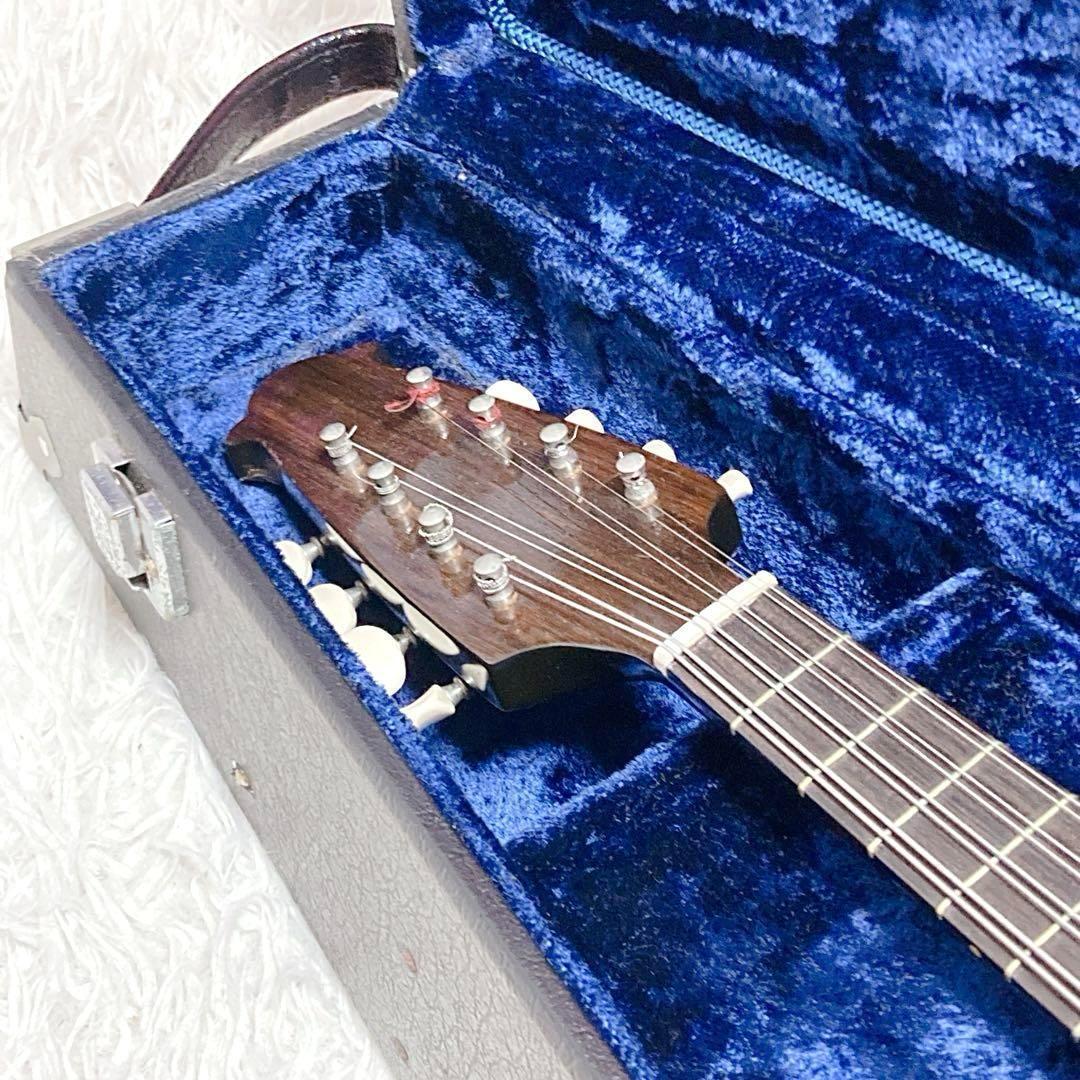 【極希少】マンドリン A50 楽器 ハードケース 中出六太郎