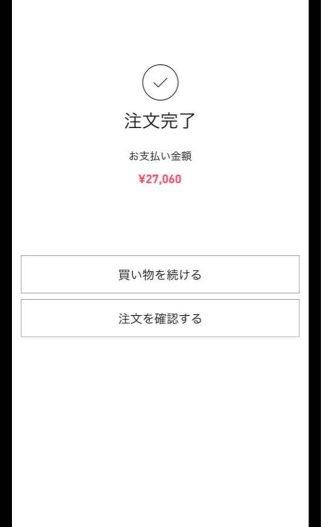 【正規品・未開封】Labubu Big into Energy 12箱