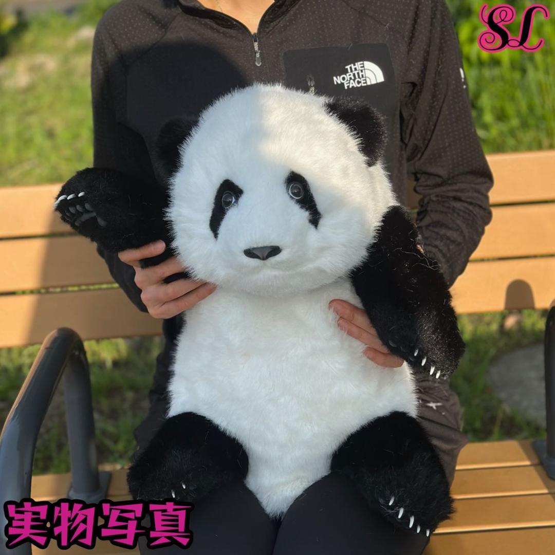 リアルで癒される！5ヶ月齢パンダ ぬいぐるみ登場 ファファ まるで本物！