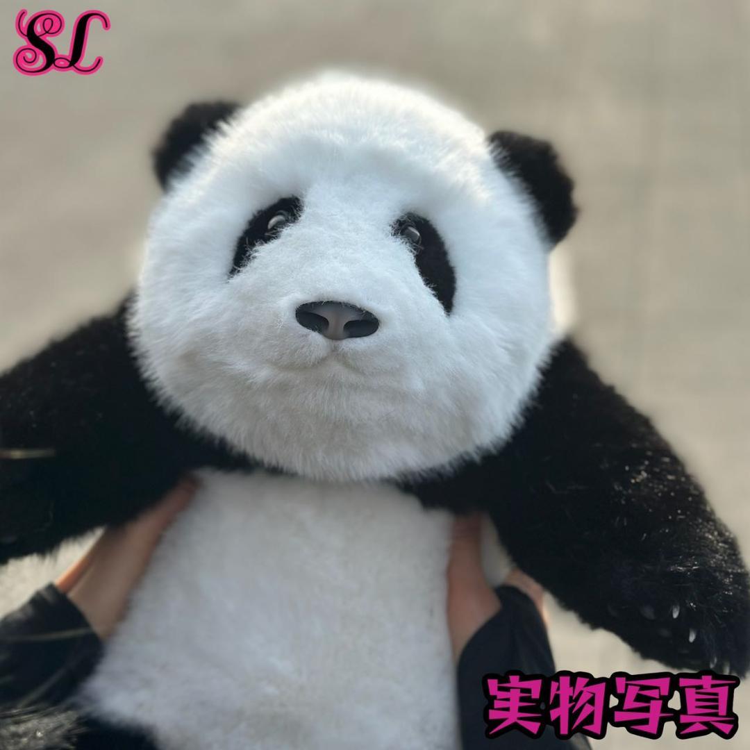 リアルで癒される！5ヶ月齢パンダ ぬいぐるみ登場 ファファ まるで本物！