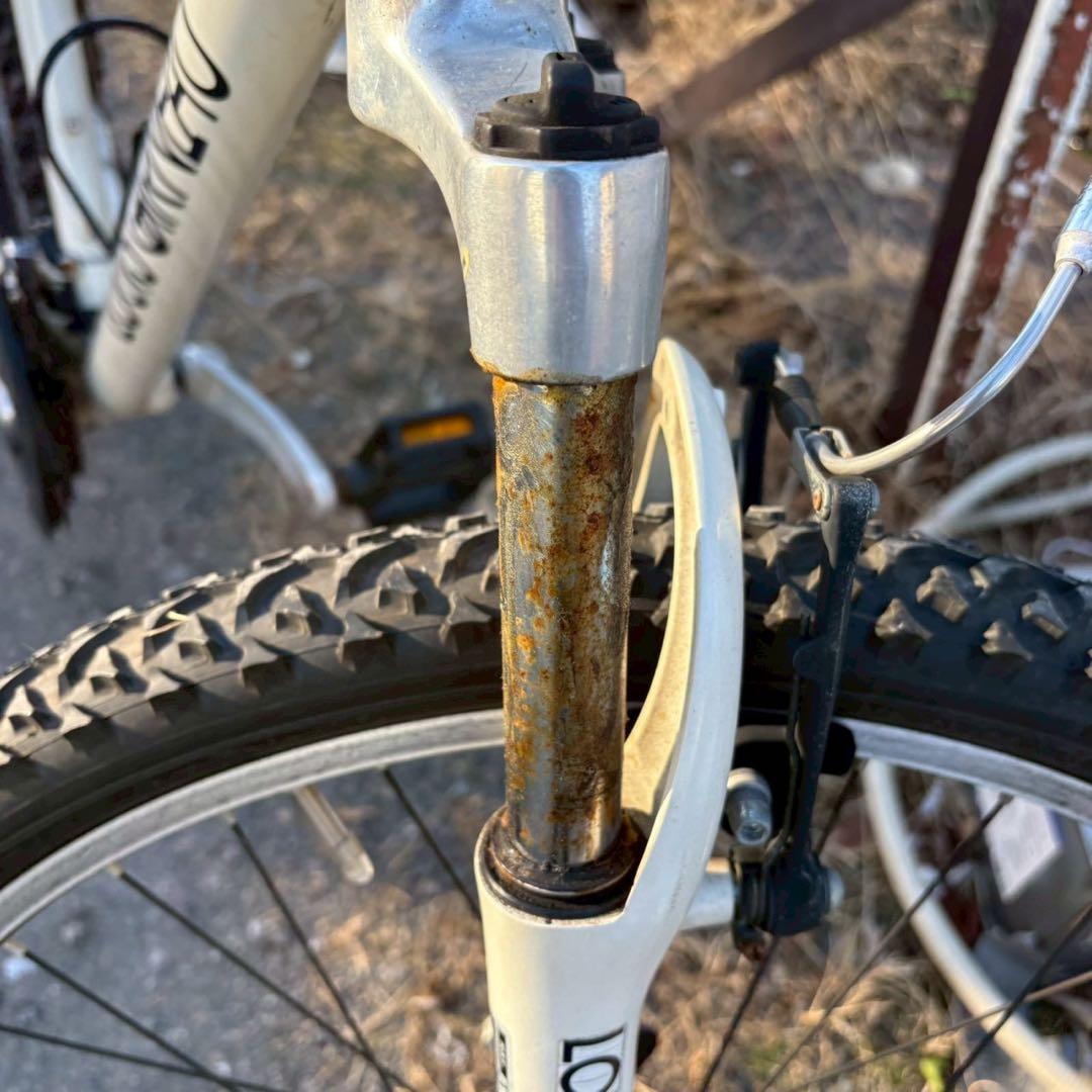 無料配送エリアあり　LOUIS GARNEAU マウンテンバイク　自転車