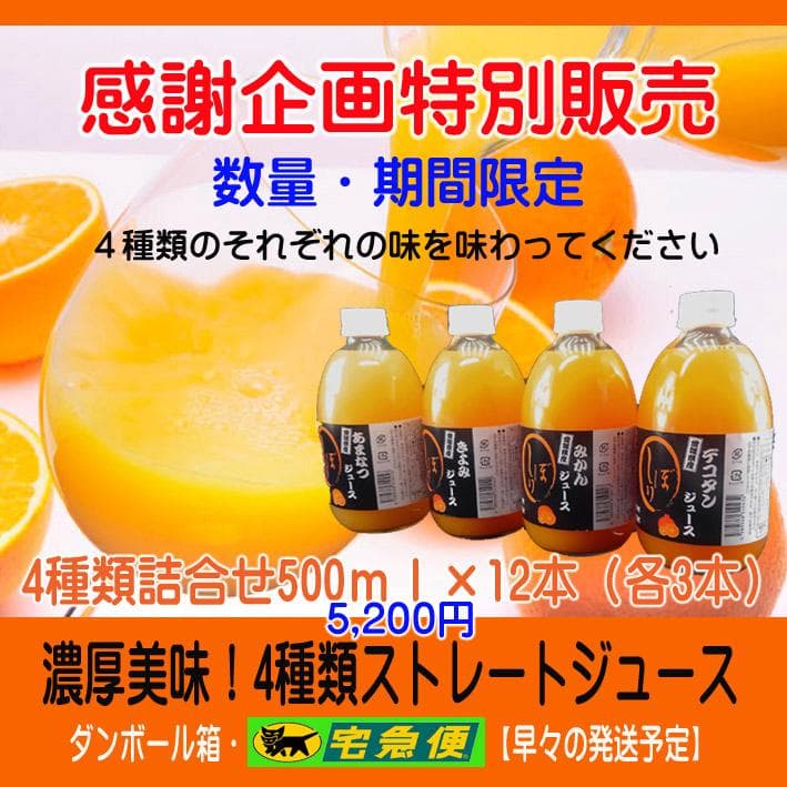 【Pё】 500ml詰め合わせジュース12本＊２箱　【２箱縛りでの発送】