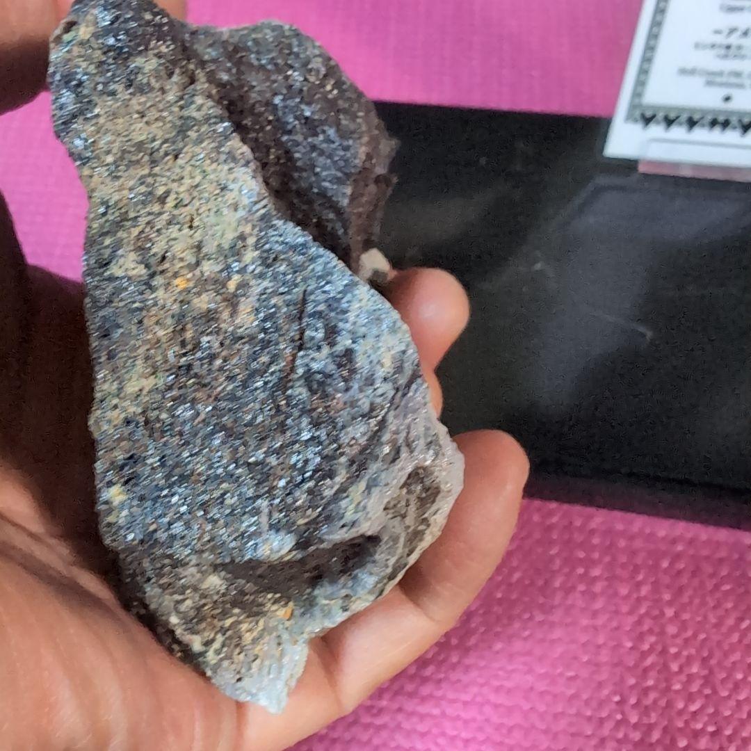 本物　トリケラトプス　特大角化石の一部　ラベル付き 485グラム