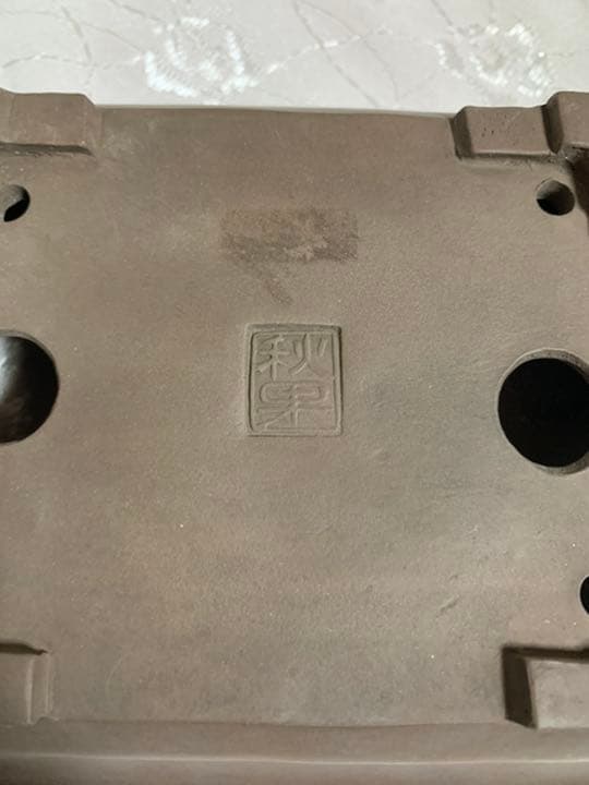 秋果　ほつれあり　盆栽鉢