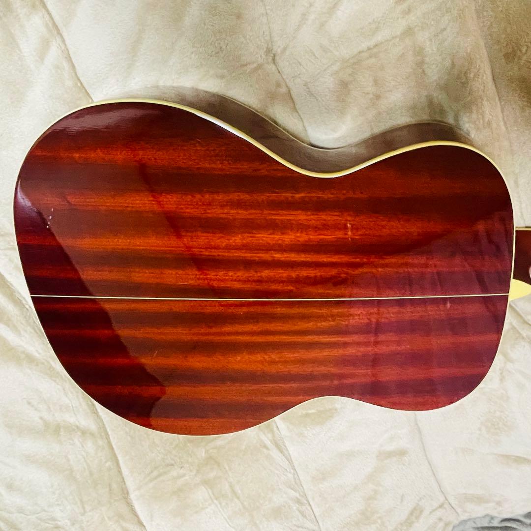 Ibanez アコースティックギター AC38-HS ツリーオブライフ