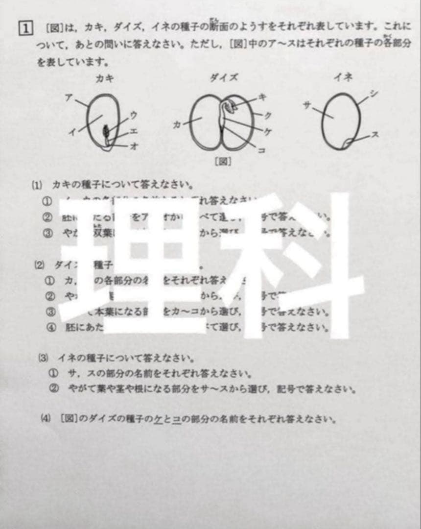 浜学園　小5 2024年度　3科目　Vクラス　復習テスト 国語、算数、理科、