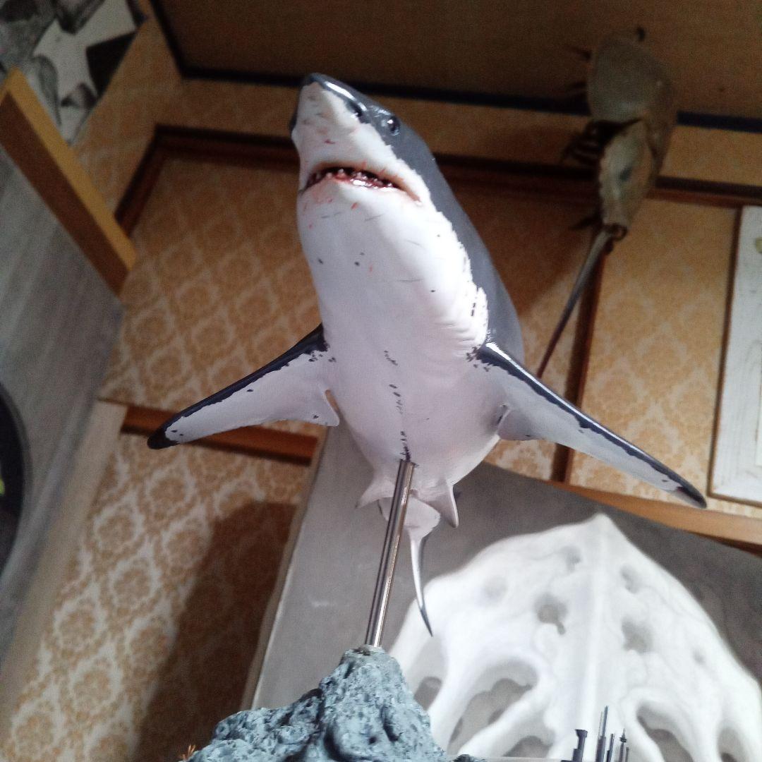 サメ　模型　ホホジロザメ　超絶モデル
