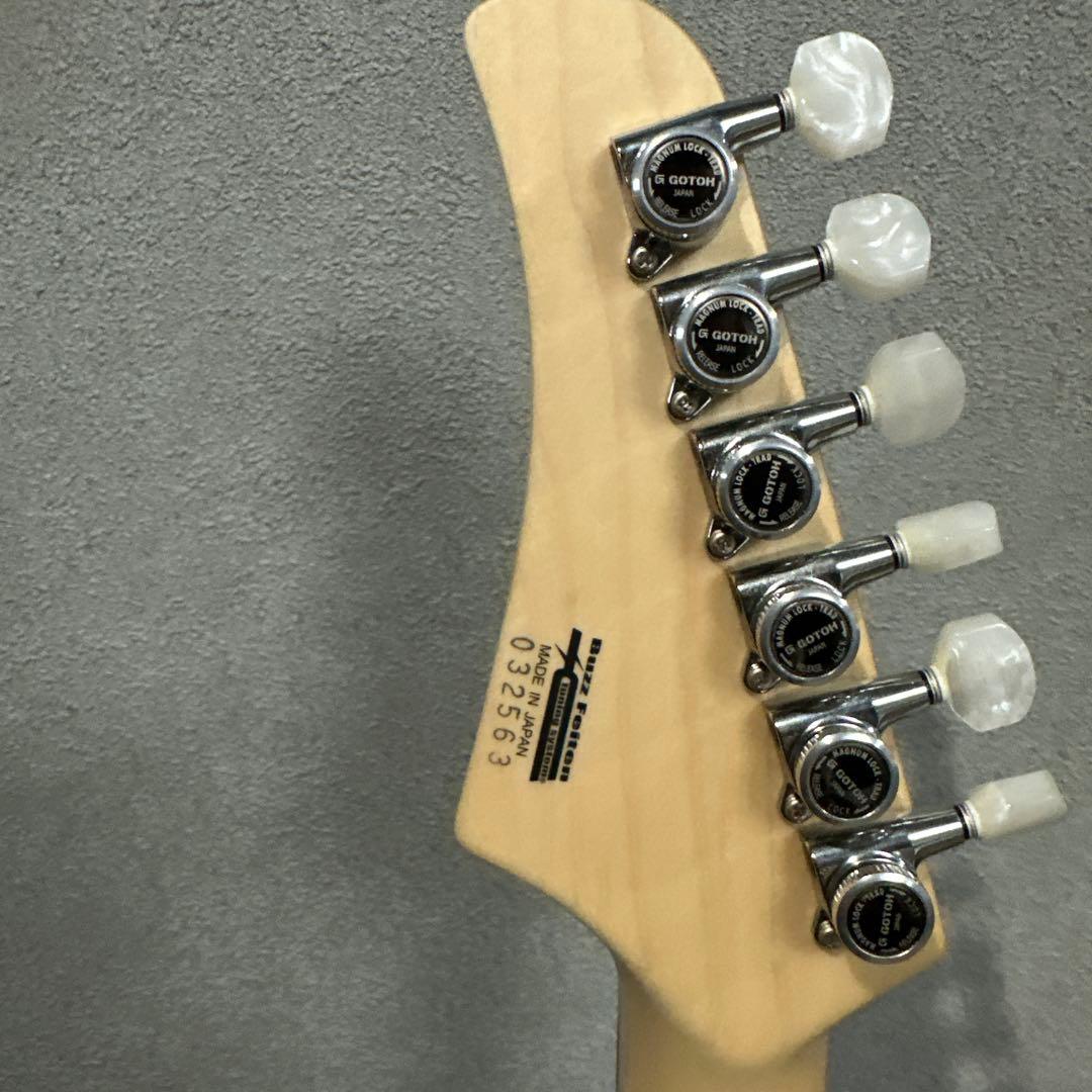 ギター T's Guitars DST pro22