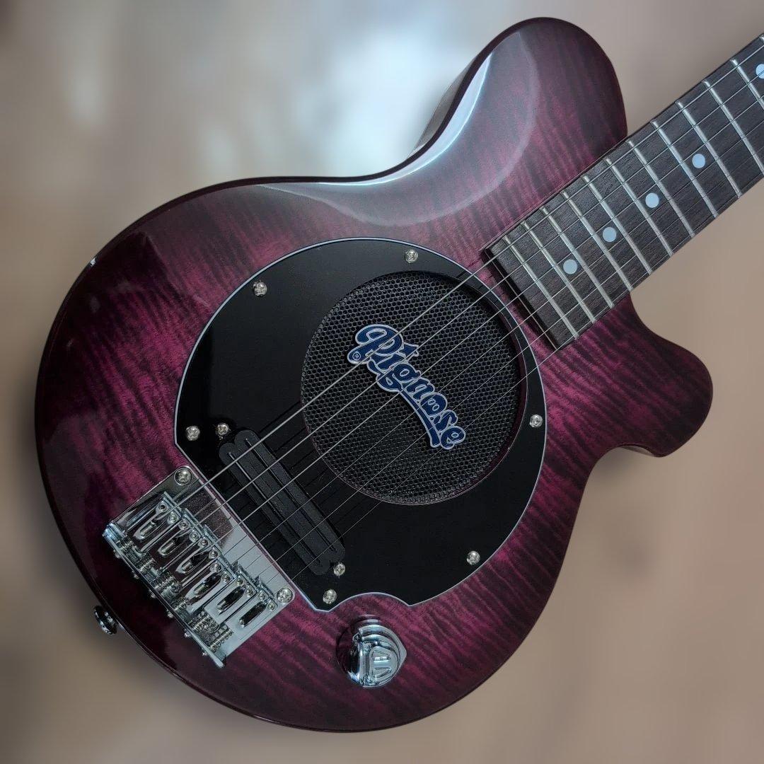 Pignose PGG-200 ピグノーズ アンプ内蔵 美品！